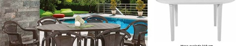 Mesa Ovalada Wengue