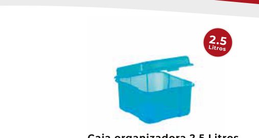 Caja Organizadora 2.5 L Azul