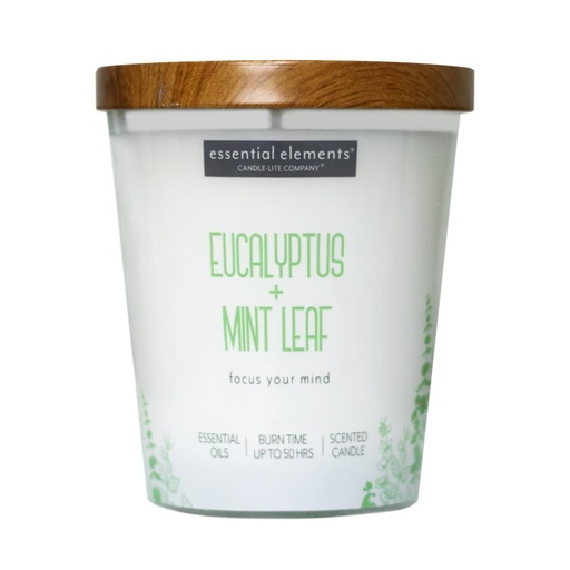 VELA 9 OZ ESSENTIAL ELEMENTS EUCALYPTUS & MINT LEAF CANDLE LITE (4471174)