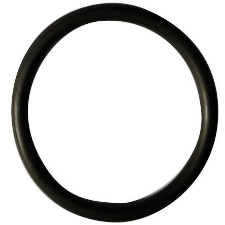 ORING FLUOR 55 X 5.3 (UTH220502-SP-71)