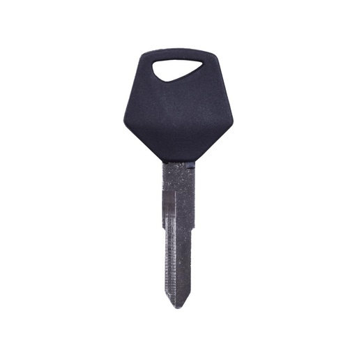 MOLDE MOTO GOMA IZQUIERDO TVS DOBLE PALETA (TVSDP1)