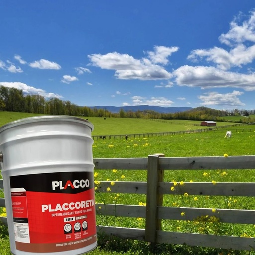 Placcoreta - Cuñete (5 galones)