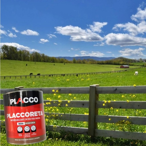Placcoreta - Galón